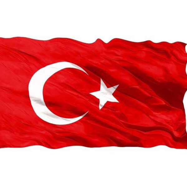 Vatan 80x120 Polyester Bayrak